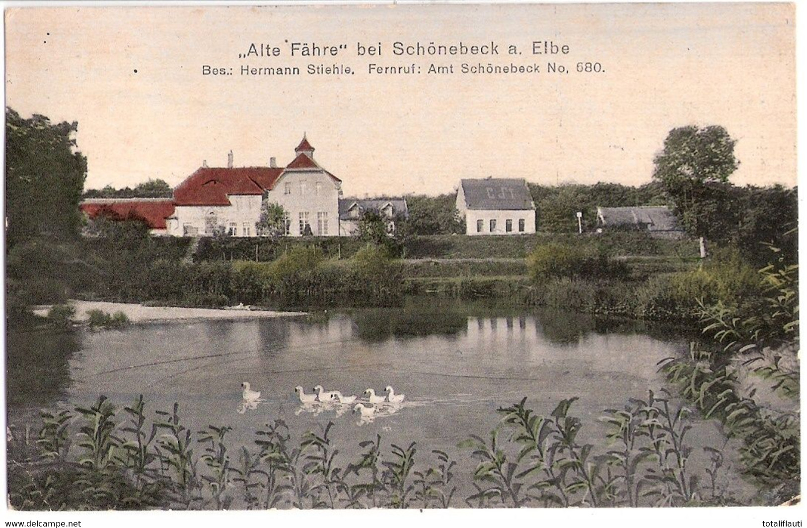 SCHÖNEBECK Elbe Alte Fähre Nahebei Gänse Auf Dem Wasser Bes Hermann Stiehle Color 8.5.1918 Gelaufen - Schönebeck (Elbe)