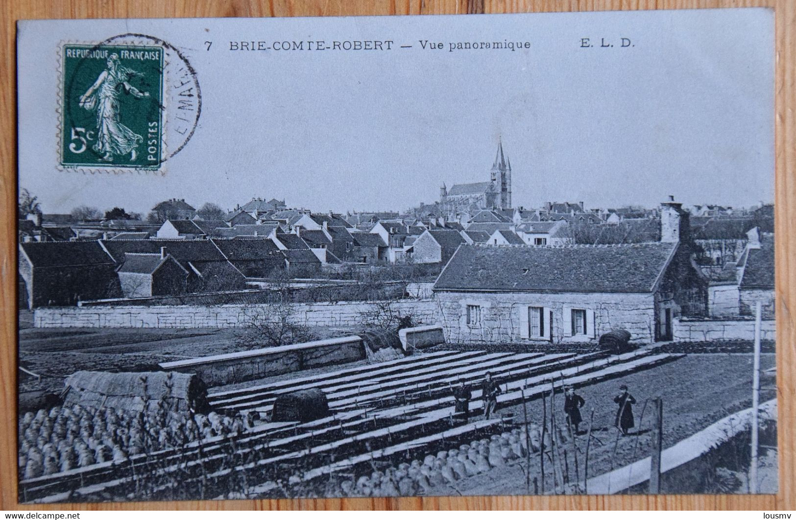 77 : Brie-Comte-Robert - Vue Panoramique - Animée : Petite Animation - (n°18873) - Brie Comte Robert