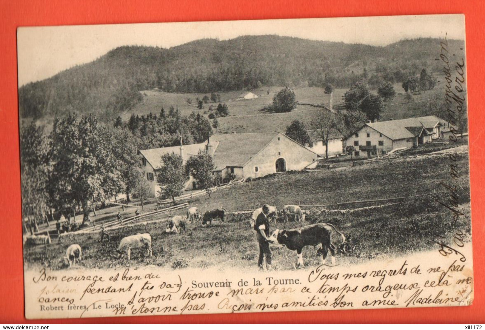 ZBN-32 RARE Souvenir De La Tourne, Rochefort. Paysan Et Ses Vaches ANIME Précurseur Cachet 1904 - Rochefort