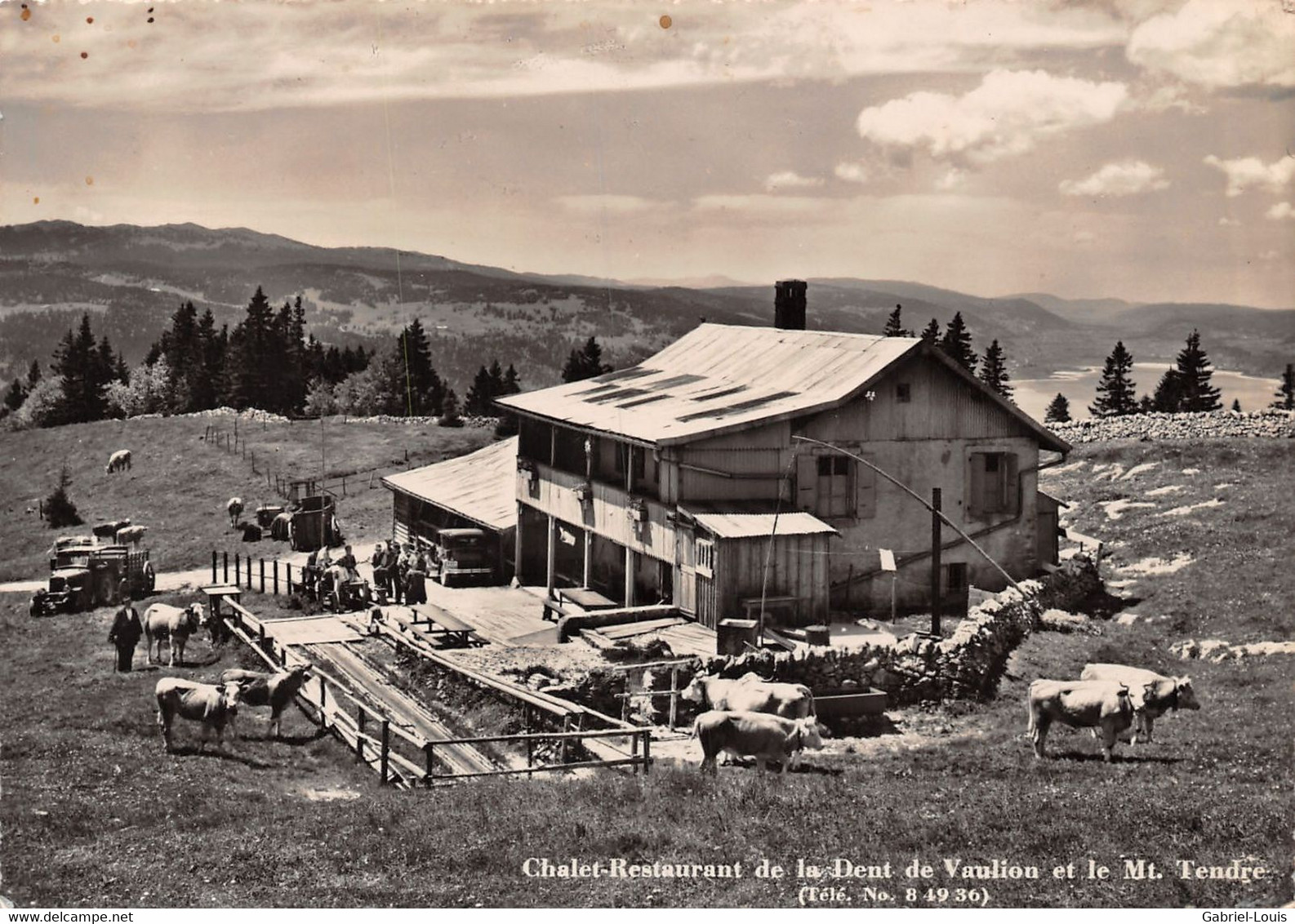 Chalet Restaurant De La Dent De Vaulion Et Le Mt Tendre - Troupeau - Oldtimer ( 10 X 15 Cm) - - Vaulion