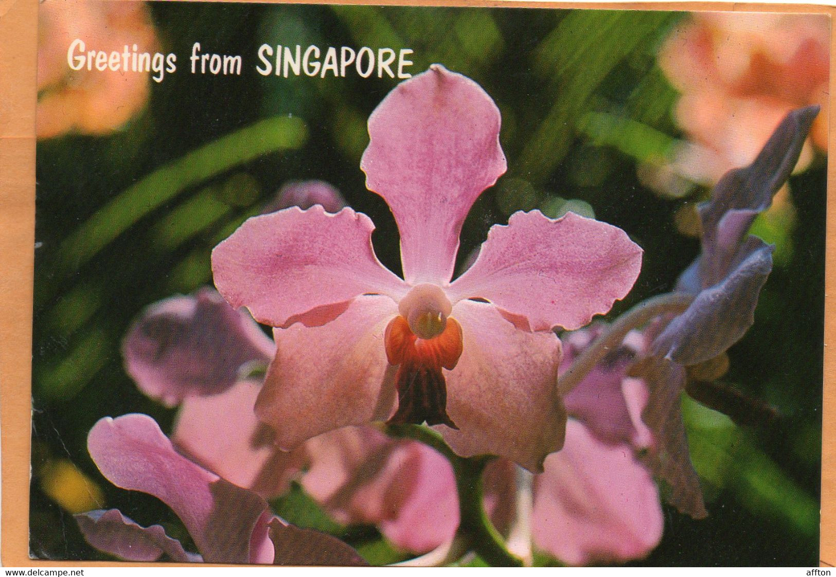 Singapore Old Postcard Mailed - Singapore