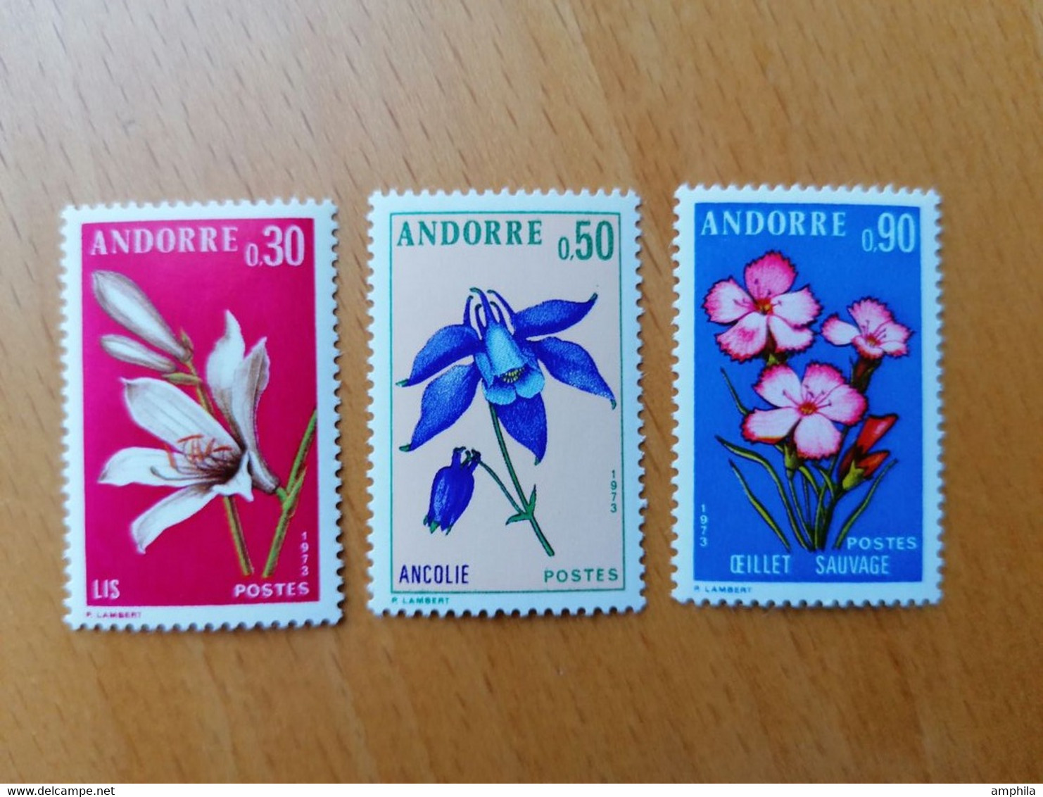 010 Fleurs, Blumen, Flowers - Other & Unclassified