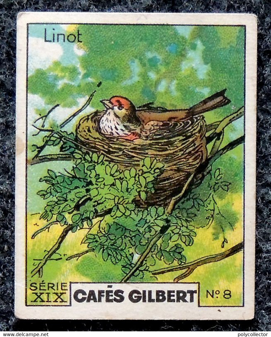 Image Café GILBERT - Chromo - (voir La Photo Pour L'état) Série 19 NIDS D'OISEAUX N° 8 LINOT - Tè & Caffè