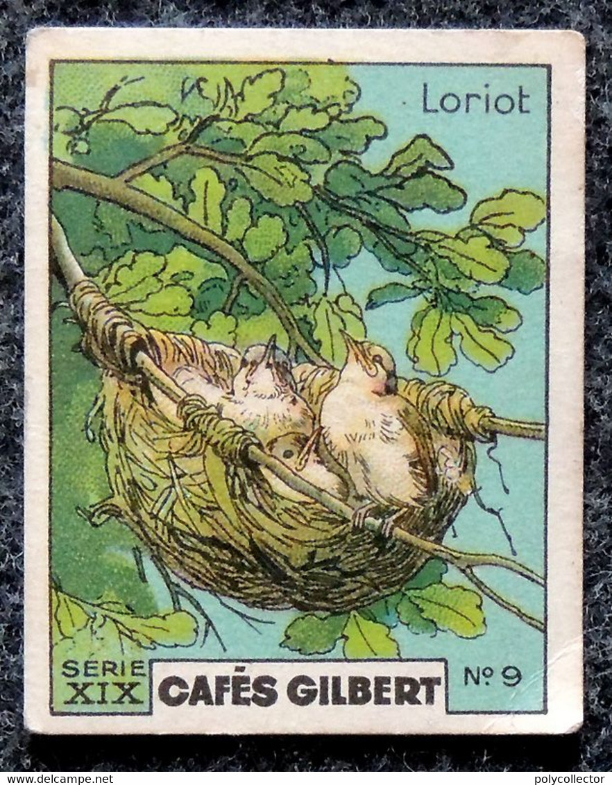 Image Café GILBERT - Chromo - (voir La Photo Pour L'état) Série 19 NIDS D'OISEAUX N° 9 LORIOT - Tè & Caffè