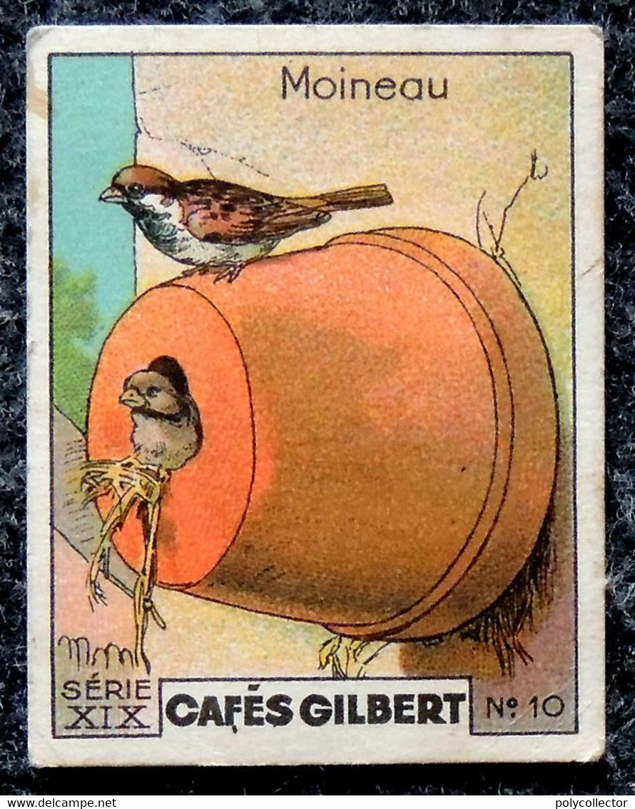 Image Café GILBERT - Chromo - (voir La Photo Pour L'état) Série 19 NIDS D'OISEAUX N° 10 MOINEAU - Tè & Caffè