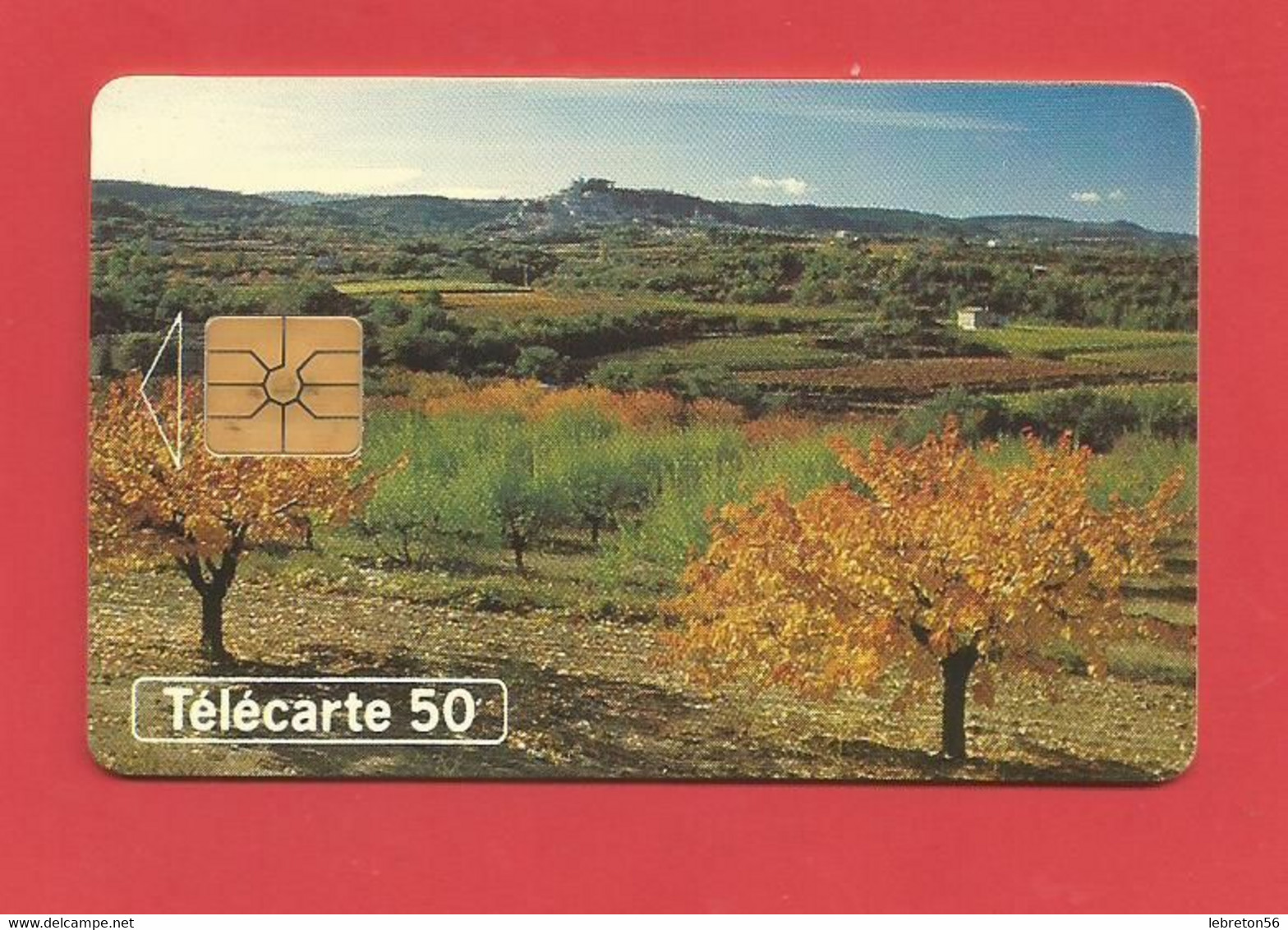 TELECARTE 50  U TIRAGE 4000 000 EX.Au Fil Des Saisons Joli Paysage  ---- X 2 Scan - Seasons