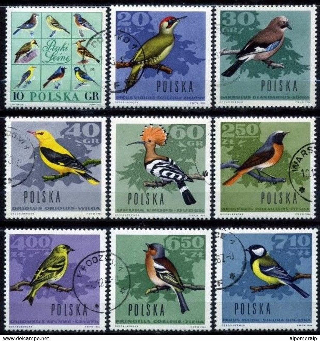 Poland 1966 Mi 1718-1726 Forest Birds (Complete Set, Used) - Sonstige & Ohne Zuordnung