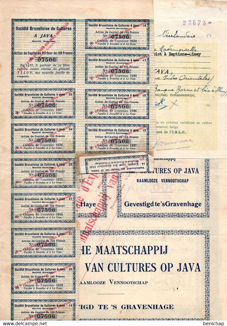 1913 - Action De Capital Au Porteur - Société Bruxelloise De Culture à Java - La Haye - Asia