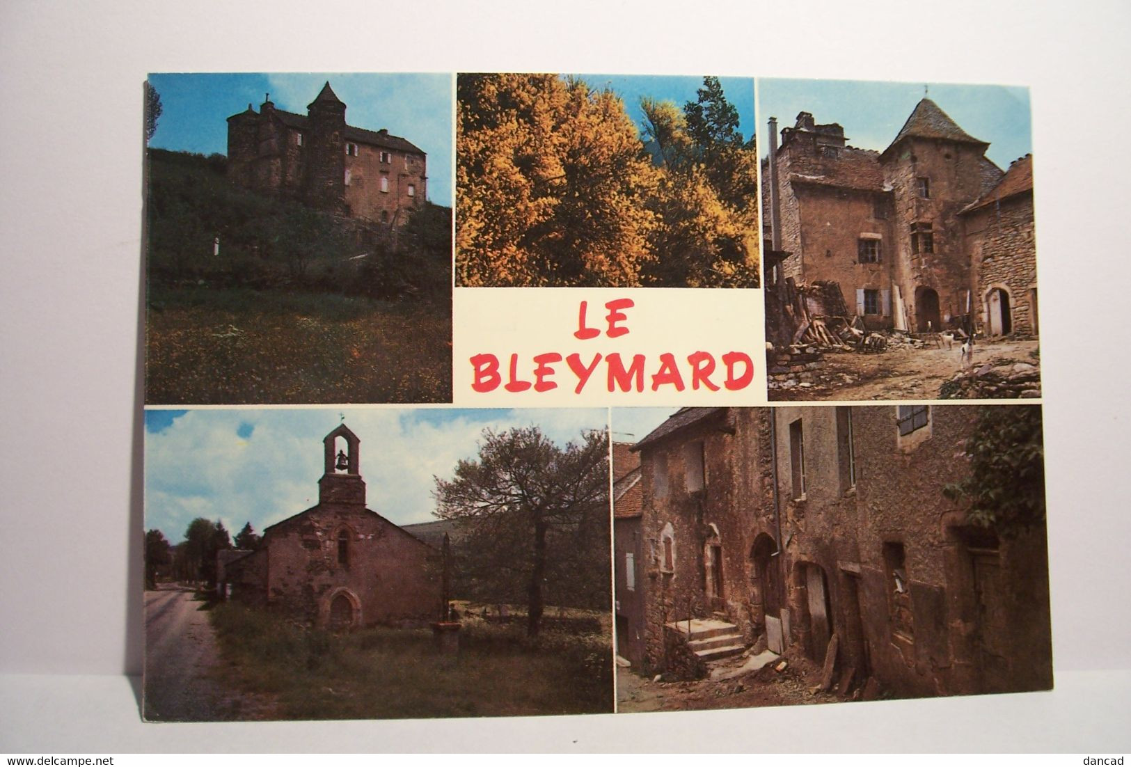 LE BLEYMARD     - MULTIVUES   -  ( Pas De Reflet Sur L'original ) - Le Bleymard