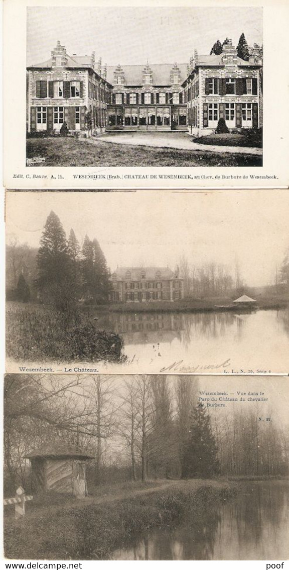 Wesembeek : Kasteel En Parc ---- 3 Cp - Wezembeek-Oppem