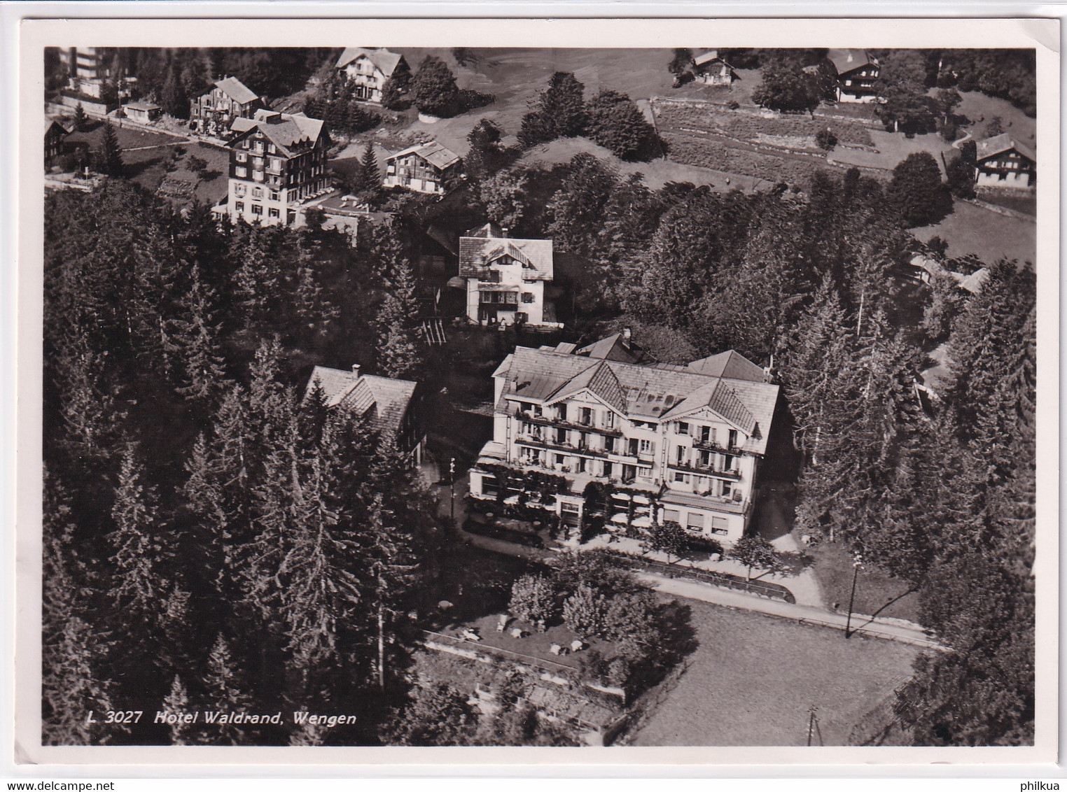 Hotel Waldrand Wengen - Wald