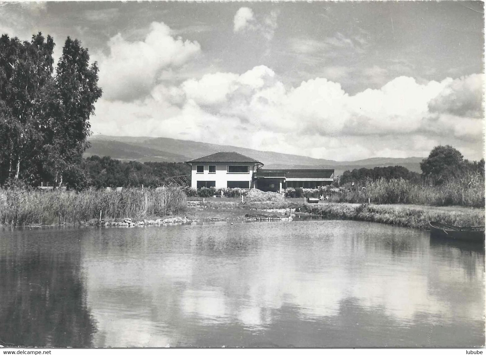 Thielle - Die Neue Zeit, Heim Und Gelände Am Neuenburgersee              Ca. 1960 - Thielle