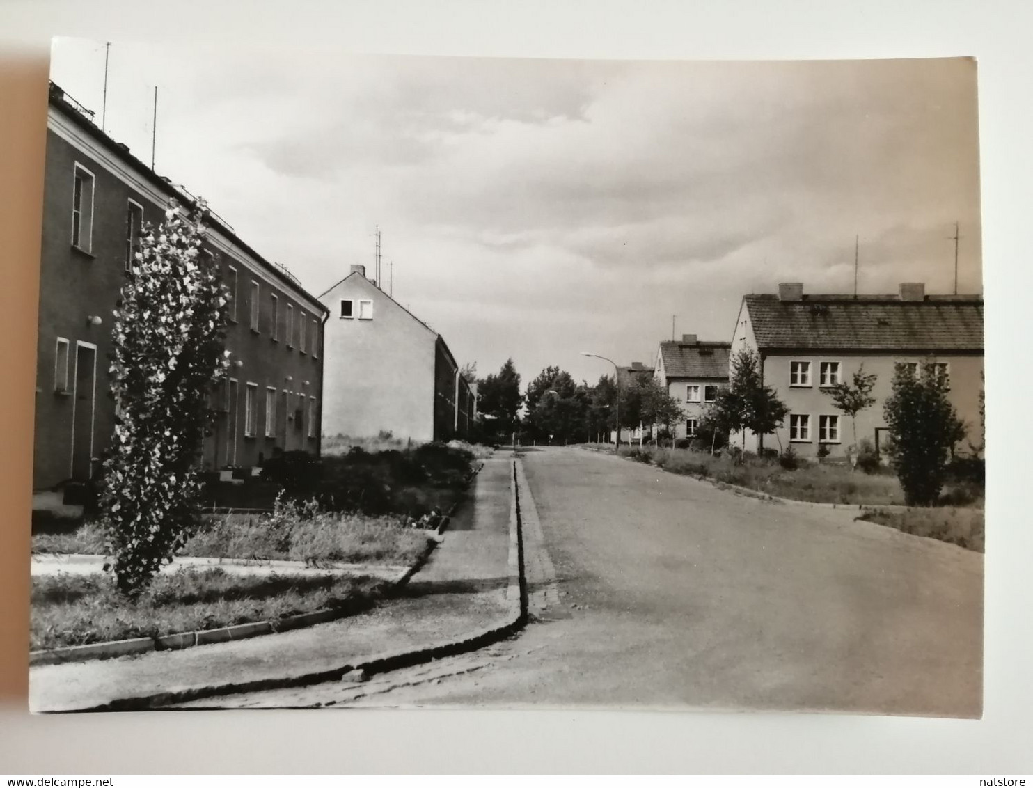 1969..GERMANY..VINTAGE POSTCARD..NIESKY..(OBERLAUSITZ)..BIRKENWEG - Niesky