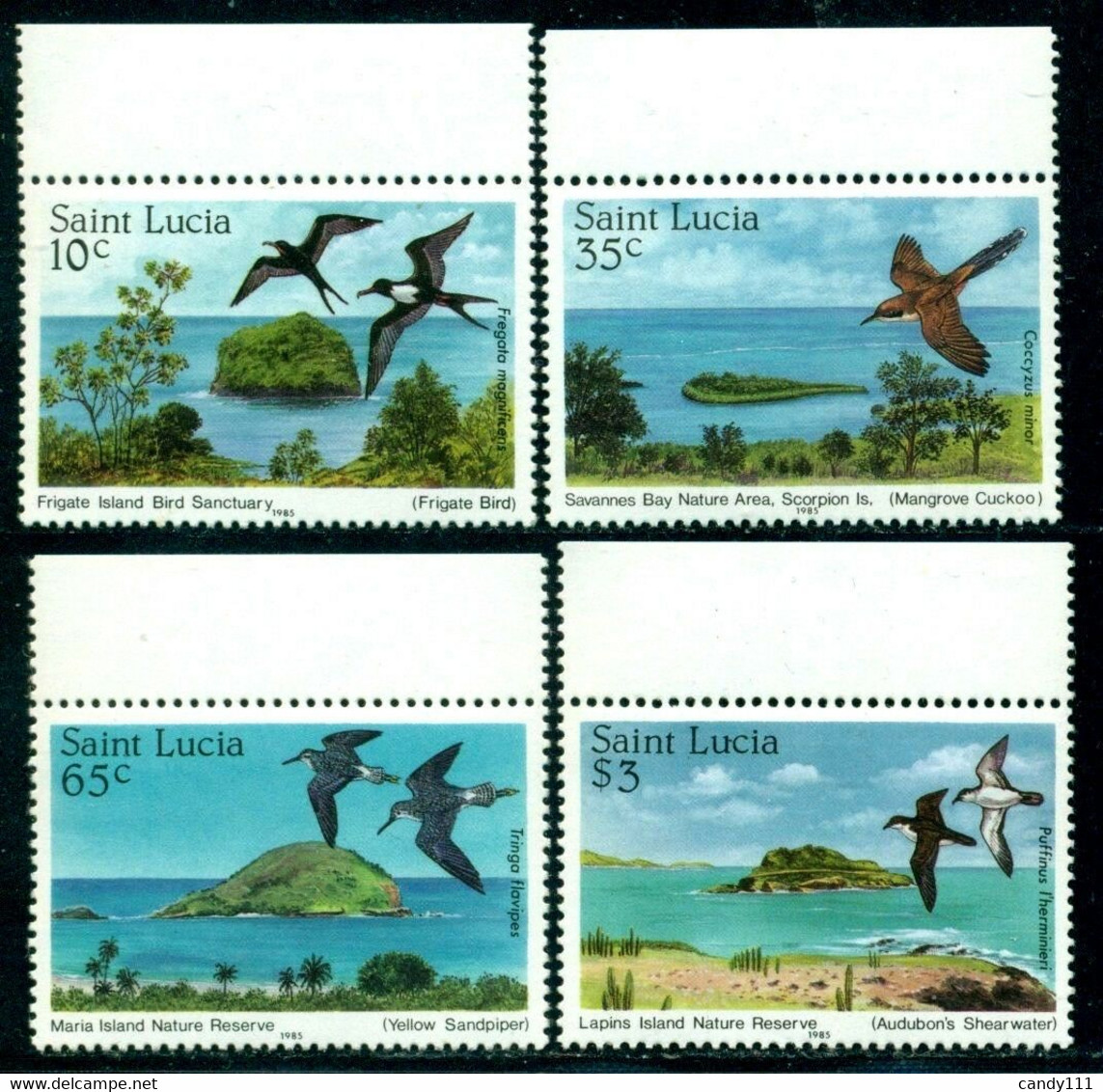 St Lucia 1985 Birds, Vogel, Ucelli, Cuckoo, Frigatebird, Shearwater, Mi. 771, MNH - Coucous, Touracos