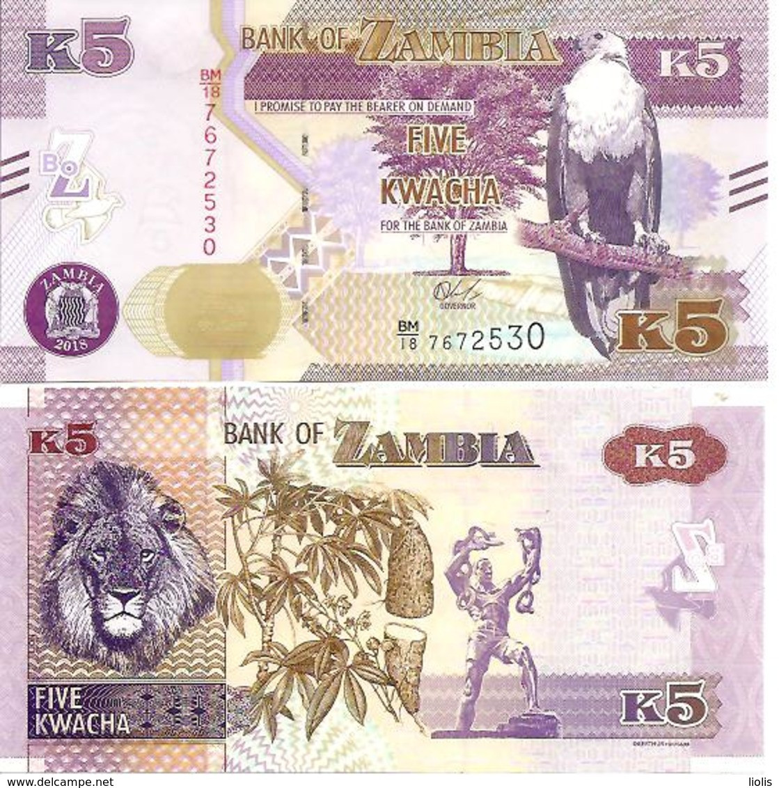 Zambia  New  5 Kwacha  2018  UNC - Zambia