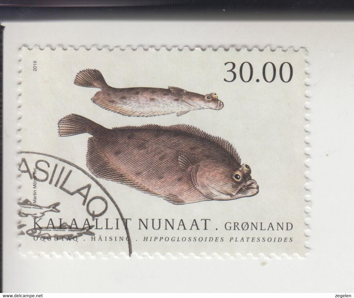 Groenland Michel-cat. 816A Gestempeld(gebruikt) Tanding 12 1/2 - Used Stamps