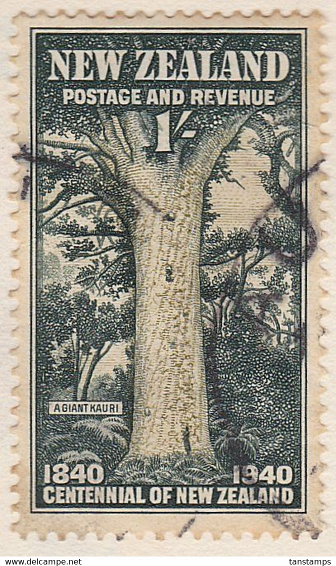 Famous Giant Kauri Tree TANE MAHUTA - Andere & Zonder Classificatie