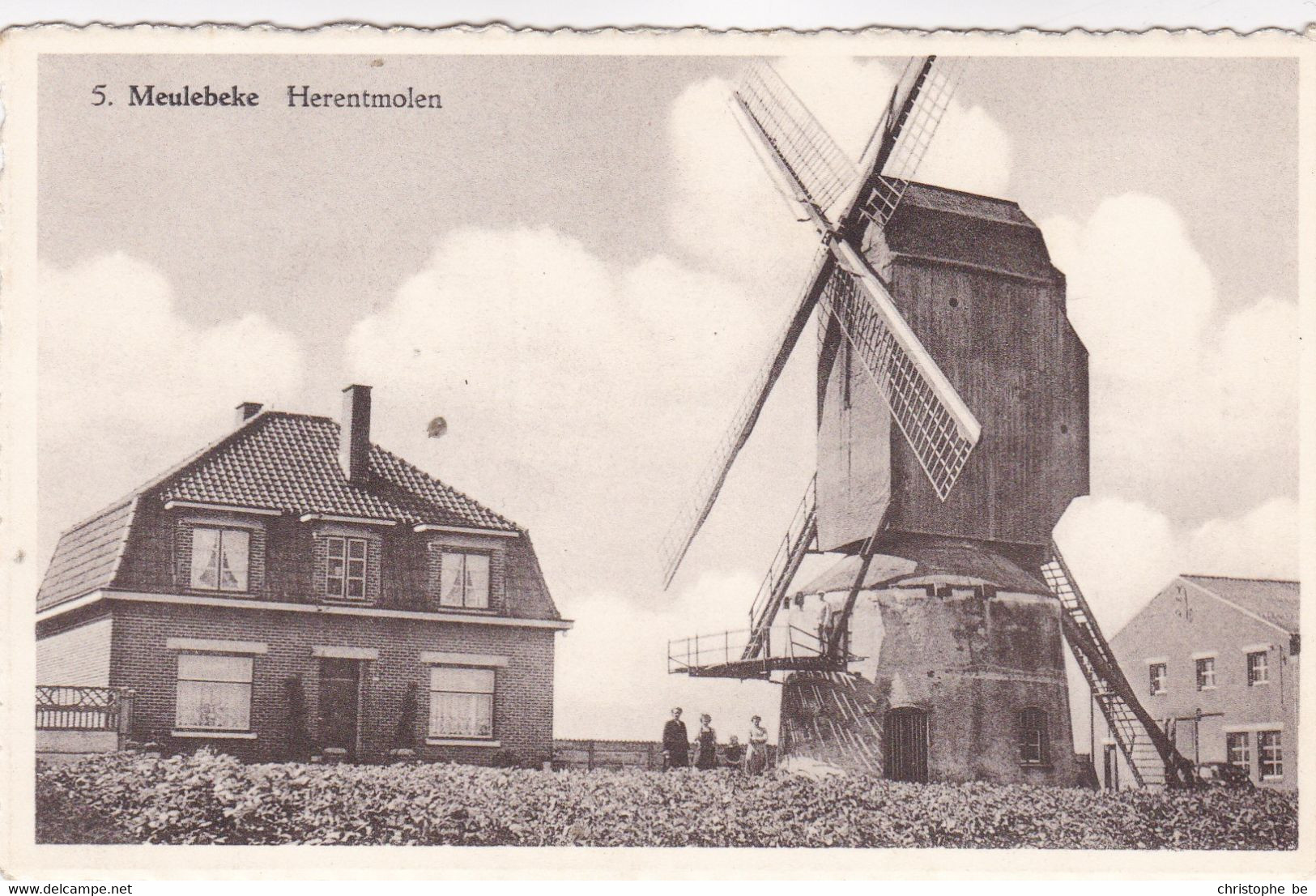 Meulebeke, Herentmolen, Molen, Moulin, Windmill (pk71563) - Meulebeke