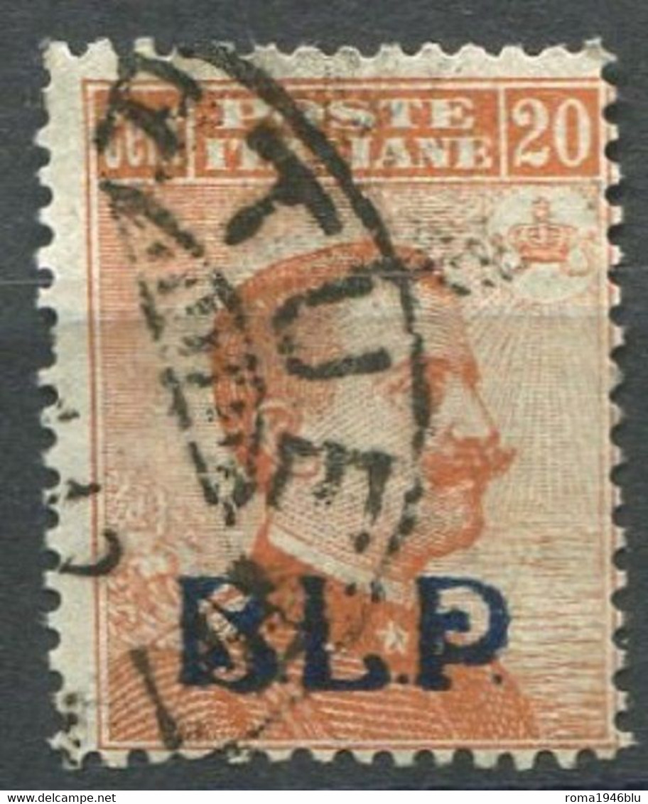 REGNO B.L.P. 1921 20 C. I TIPO N. 2 USATO F.TO RAYBAUDI VIGNATI - Used