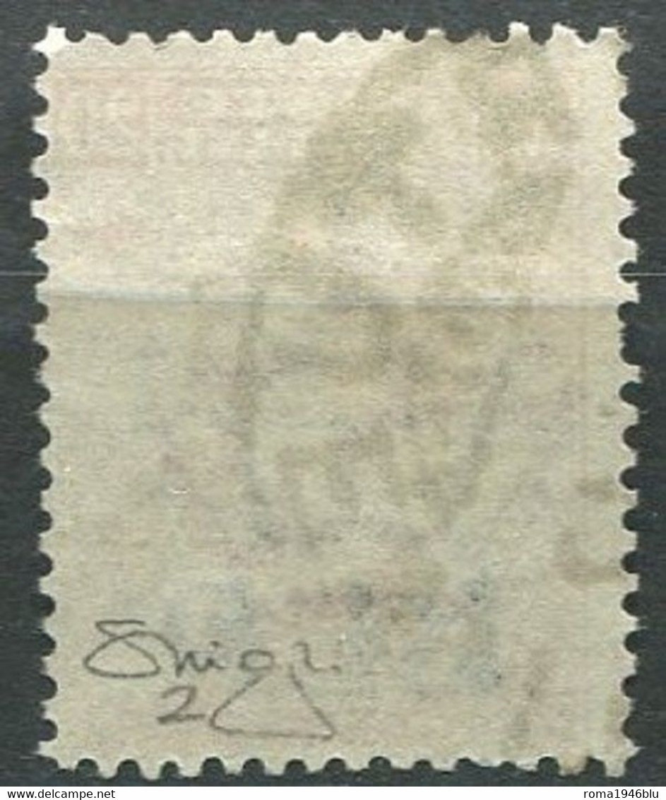 REGNO B.L.P. 1921 20 C. I TIPO N. 2 USATO F.TO RAYBAUDI VIGNATI - Used