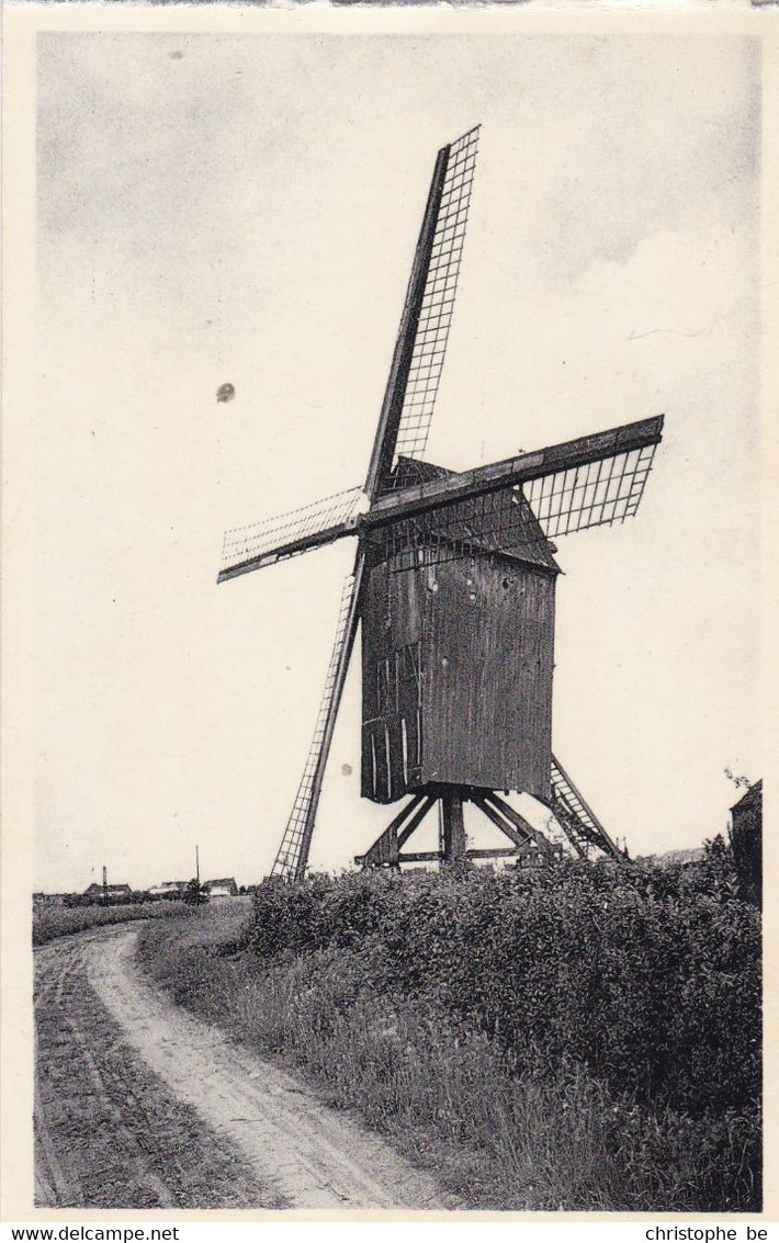 Waregem, Oude Molen, Moulin, Windmill (pk71603) - Waregem