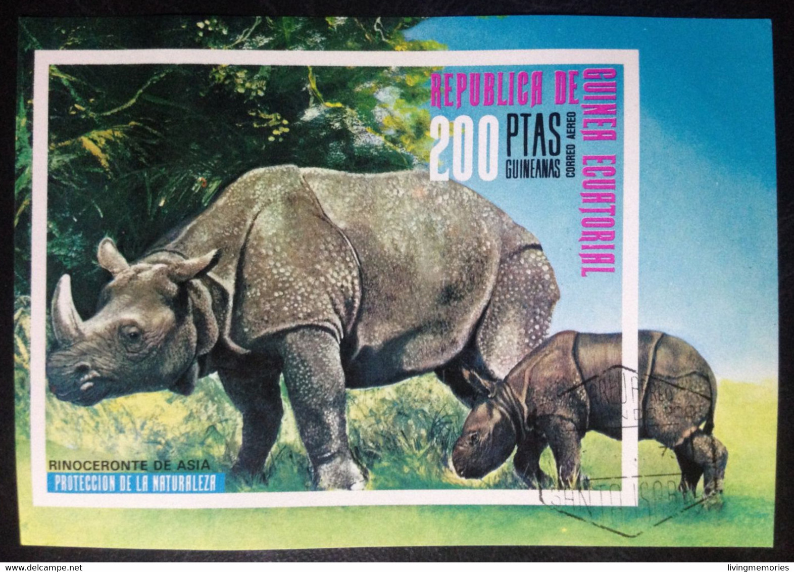 L2P3, EQUATORIAL GUINEA, Souvenir Sheet CTO, « RHINOCEROS » - Rhinoceros
