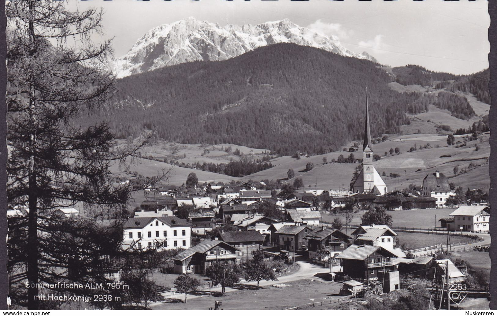 Austria PPC Sommerfrische ALM Mit Hochkönig Verlag Alfred Gründler ALM Bei SAALFELDEN 1962 Echte Real Photo Véritable - Maria Alm