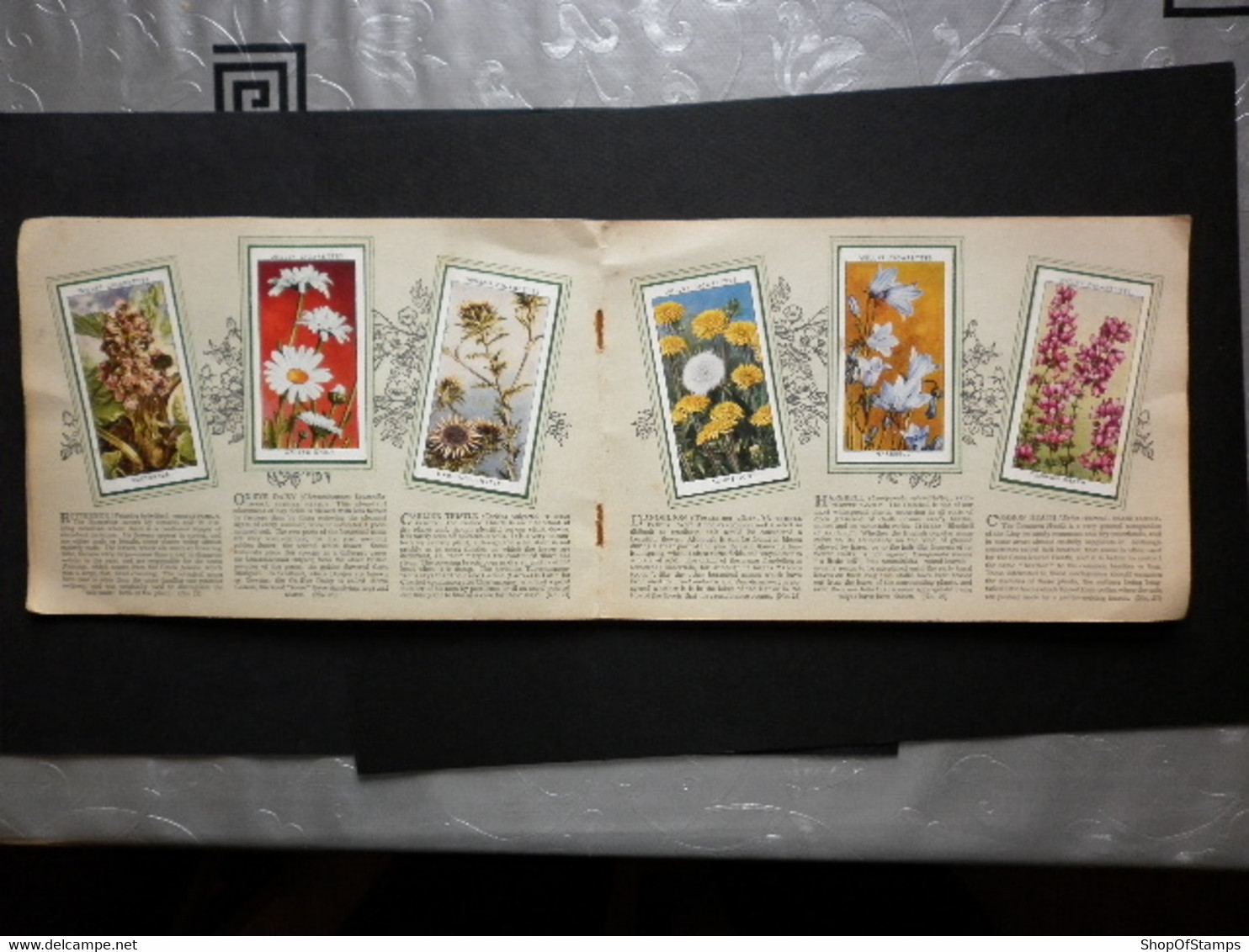 CIGARETTES CARDS WILD FLOWERS 47/50 - Player's