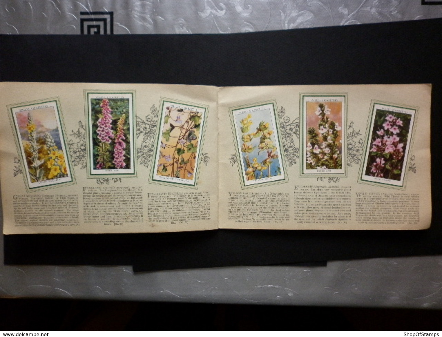 CIGARETTES CARDS WILD FLOWERS 47/50 - Player's