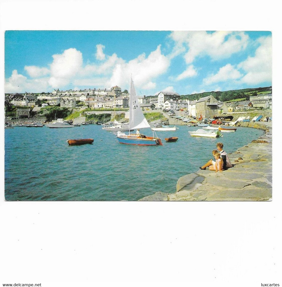 THE JETTY. NEW QUAY. - Cardiganshire