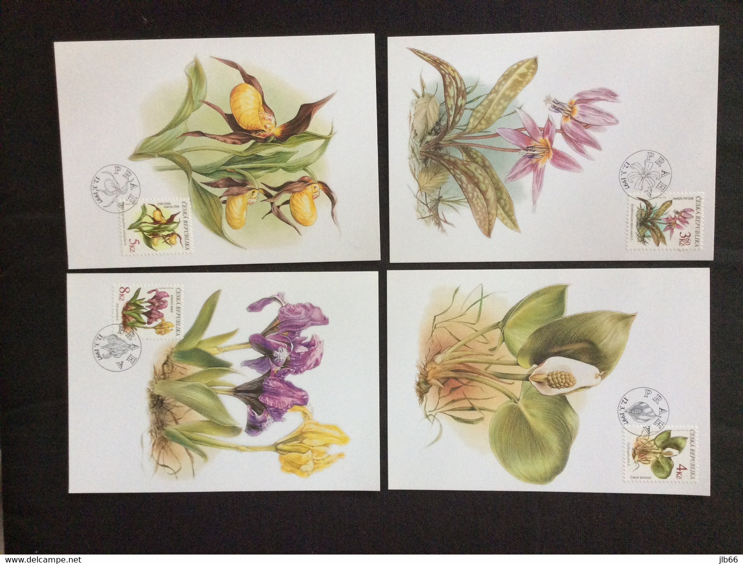 4 Cartes Maximum Fleurs Protégées : Iris , Dent De Chien , Sabot De Venus , Calia Des Marais - FDC