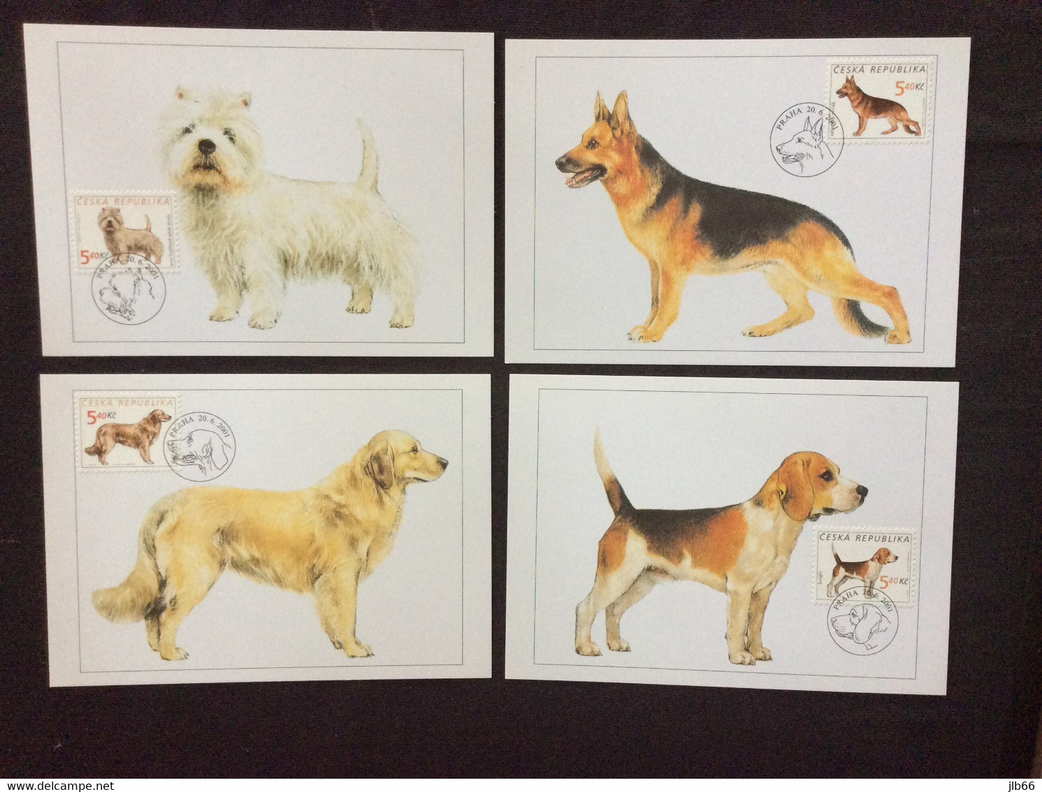4 Cartes Maximum Chien De Race Berger Allemand Golden Retriever Beagle Terrier Blanc Dogs - FDC