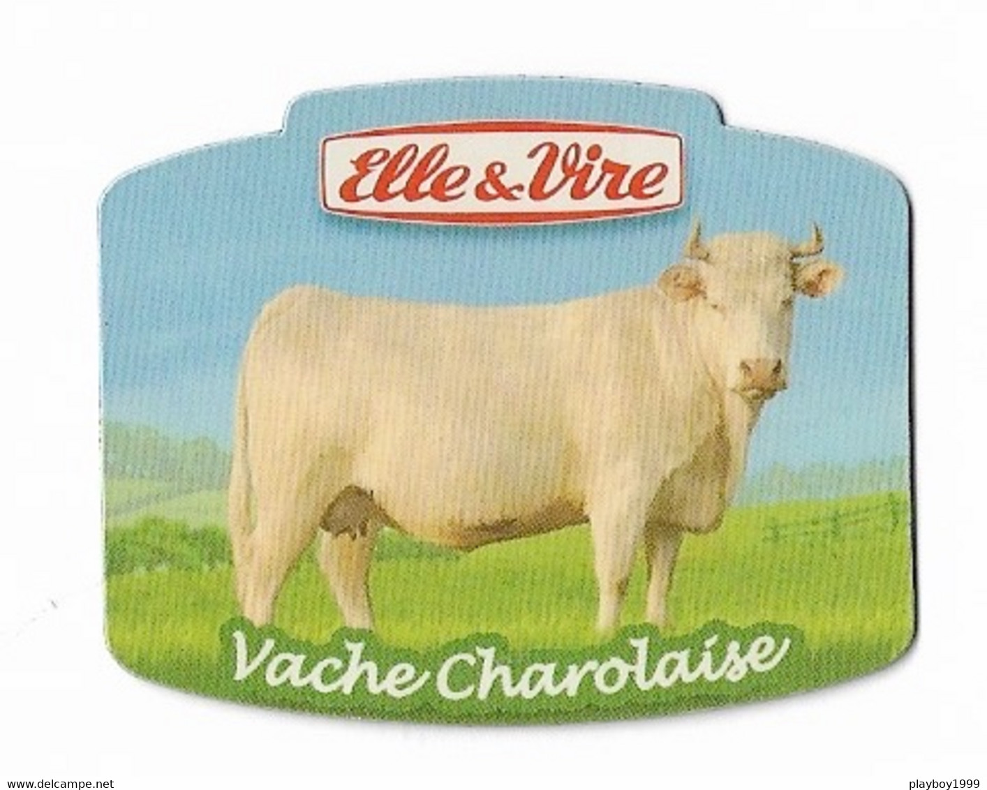 Magnets - Vaches - Vache Charolaise - - Animaux & Faune