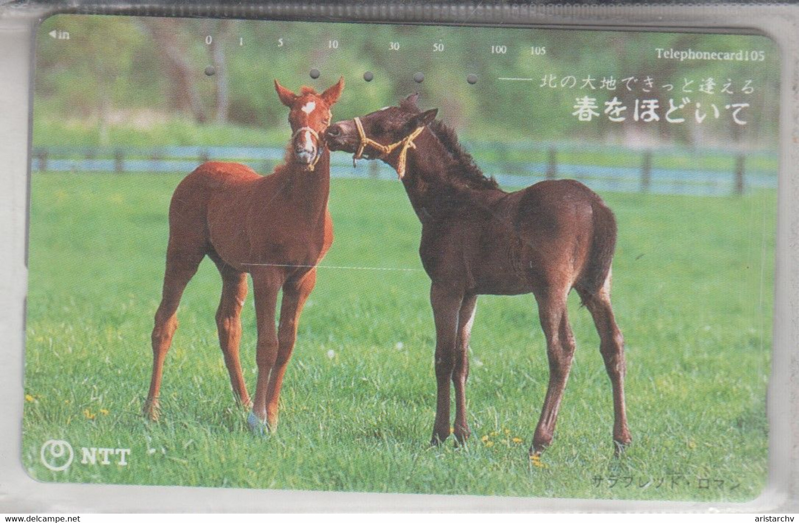 JAPAN HORSES 2 CARDS - Pferde