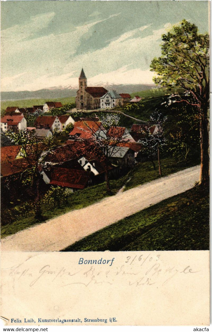 CPA AK Bonndorf Souvenir GERMANY (1019024) - Bonndorf