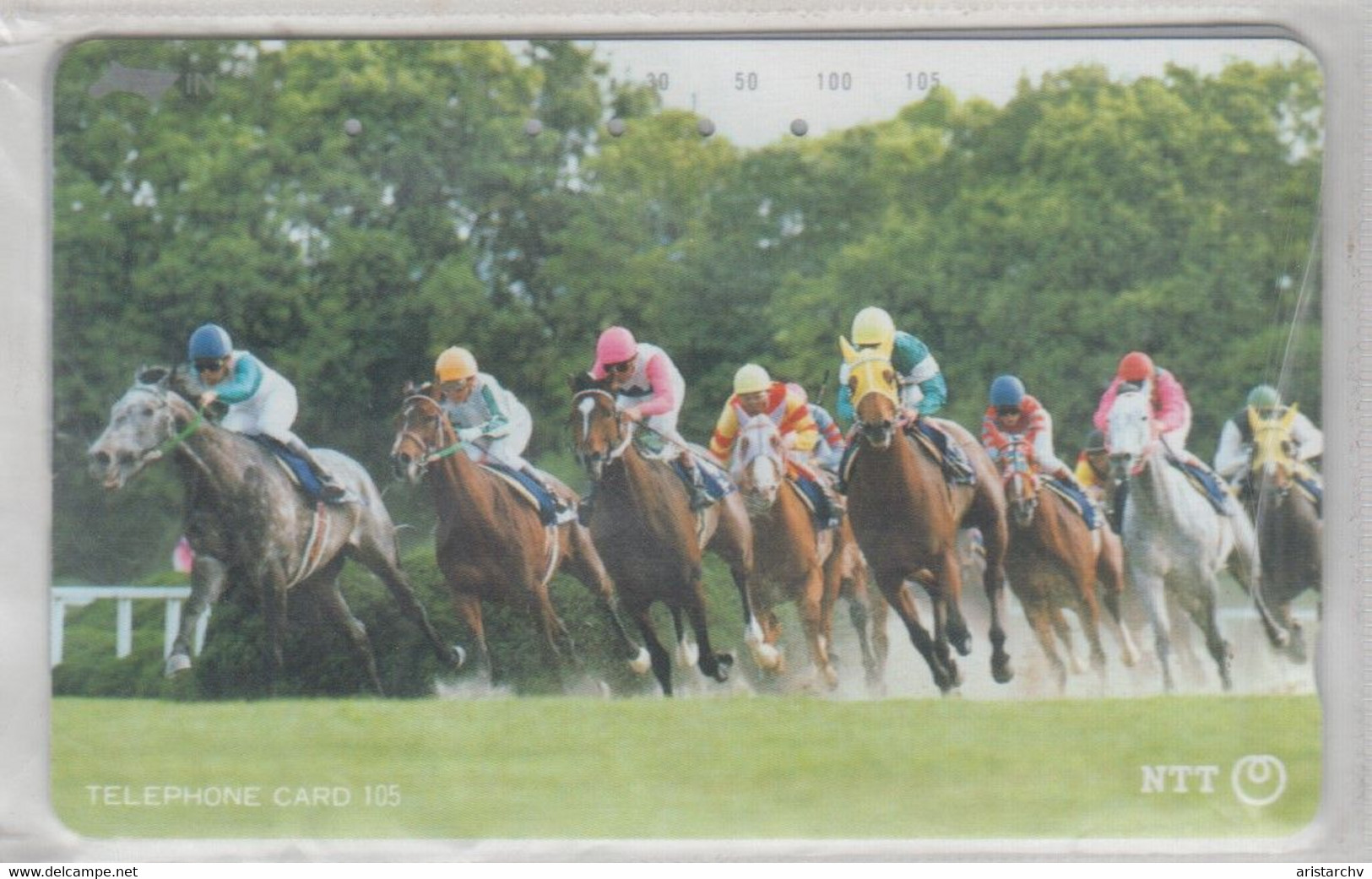 JAPAN HORSE RACES 2 CARDS - Pferde