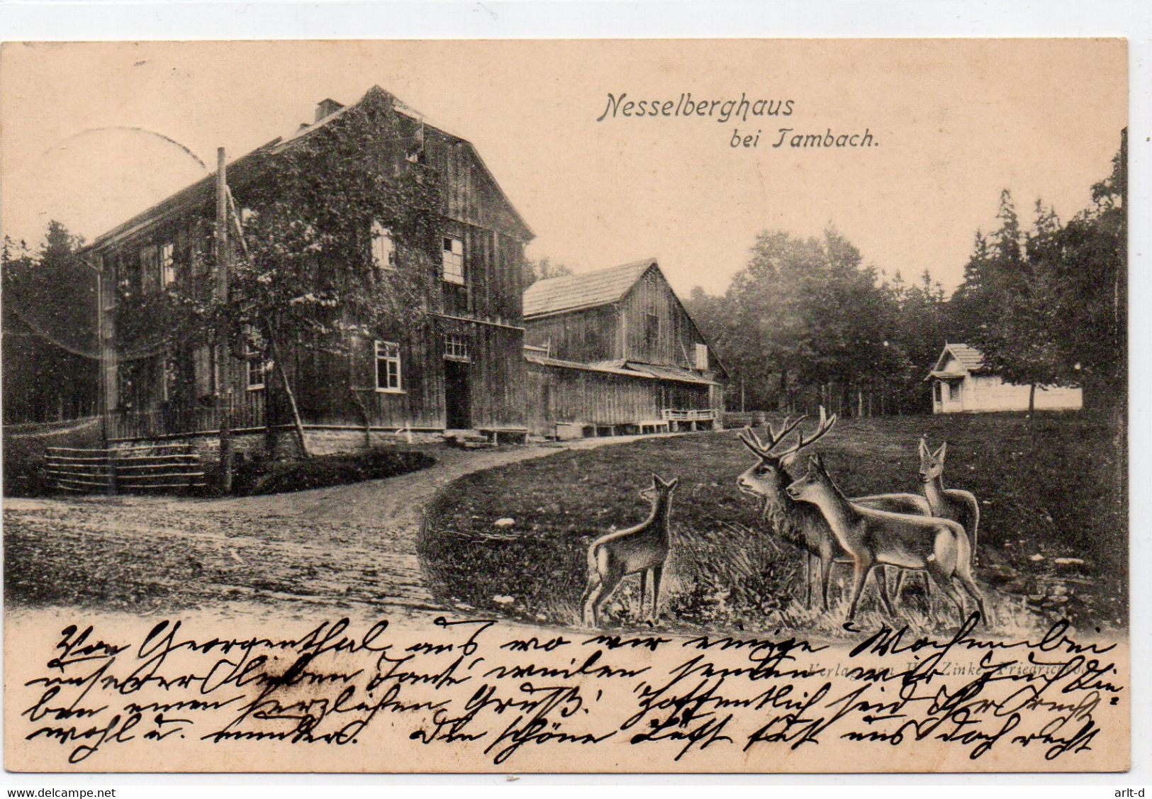 DC8 - AK / Ansichtskarte Tambach Dietharz Nesselberghaus Thüringer Wald Wild Hirsche - Tambach-Dietharz