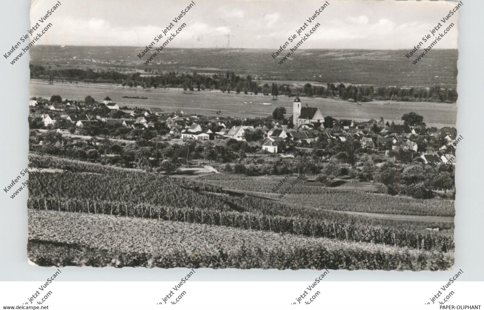 6227 OESTRICH - WINKEL, Gesamtansicht Winkel, 1957 - Oestrich-Winkel