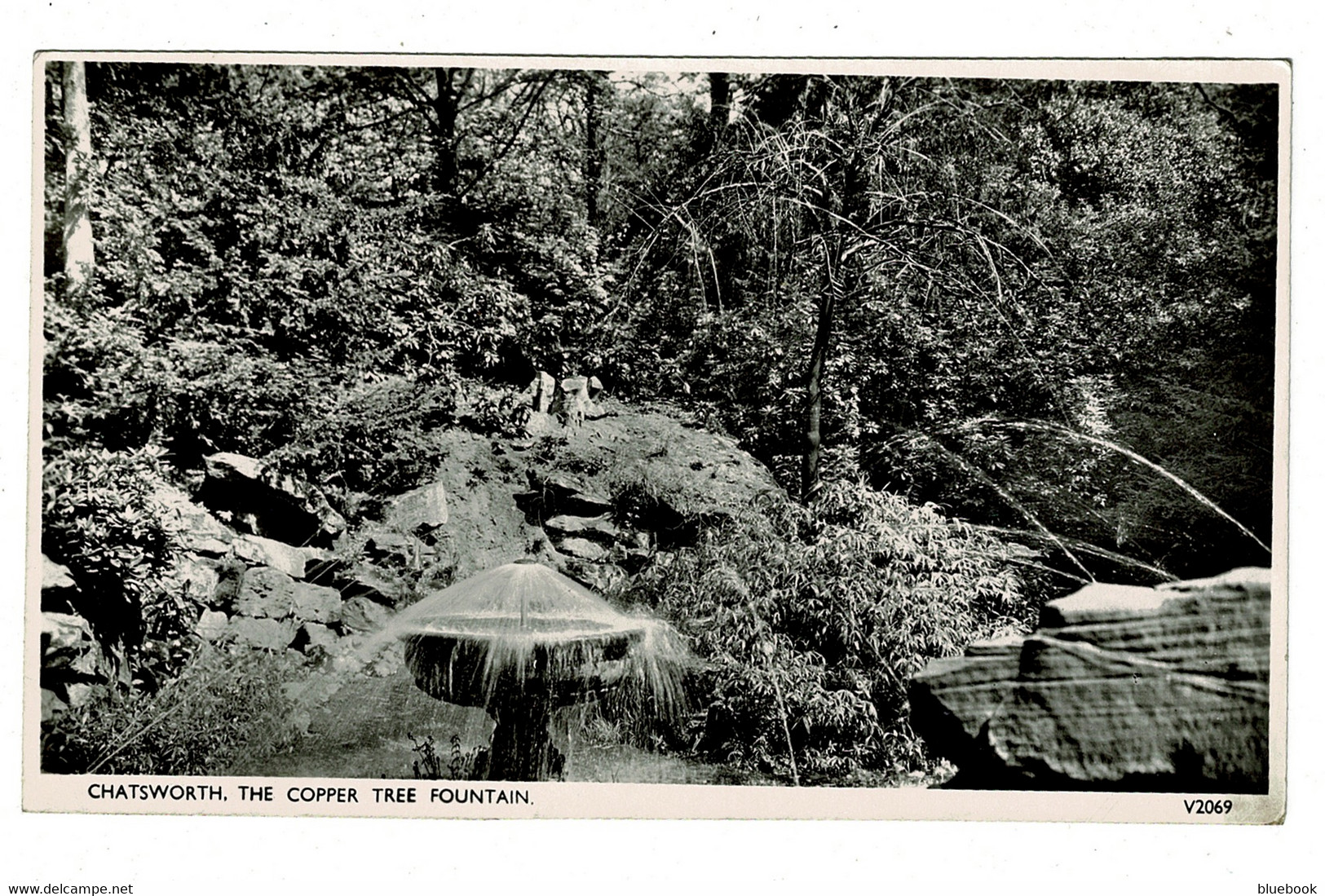 Ref 1416 - 2 Real Photo Postcards - Chatsworth Derbyshire - Copper Tree Fountain West Gardens - Derbyshire