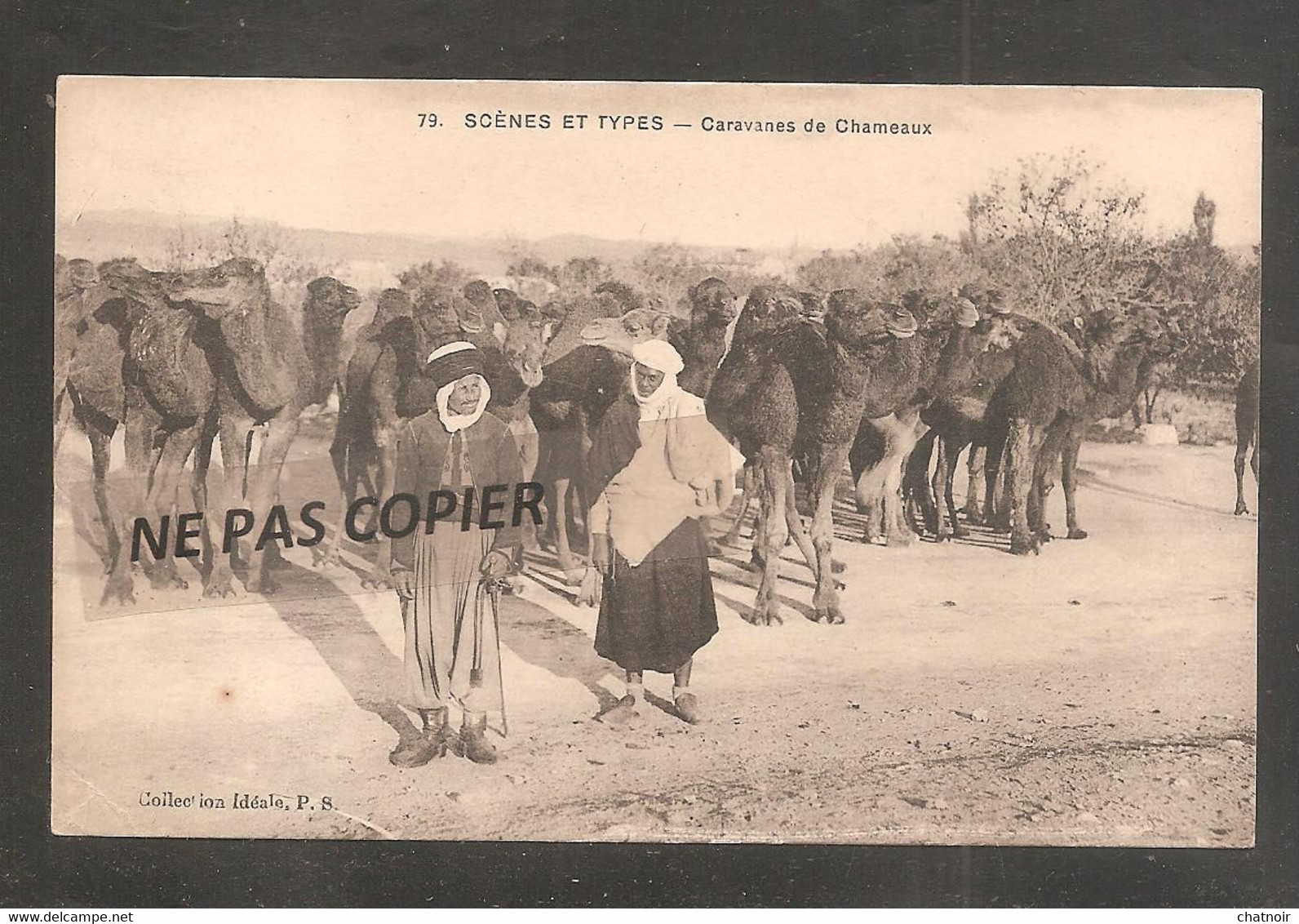 Caravanes   De Chameaux - Scene & Tipi