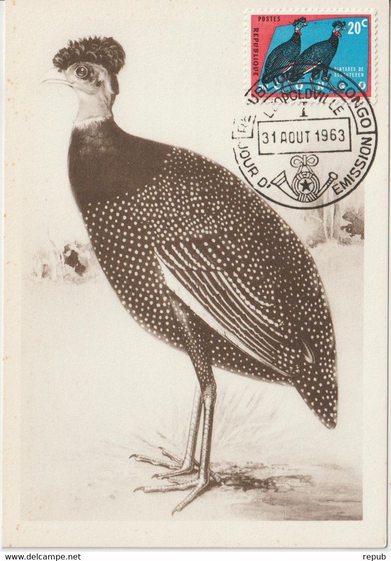Carte Maximum 1963 Oiseaux Pintade 482 - Other & Unclassified
