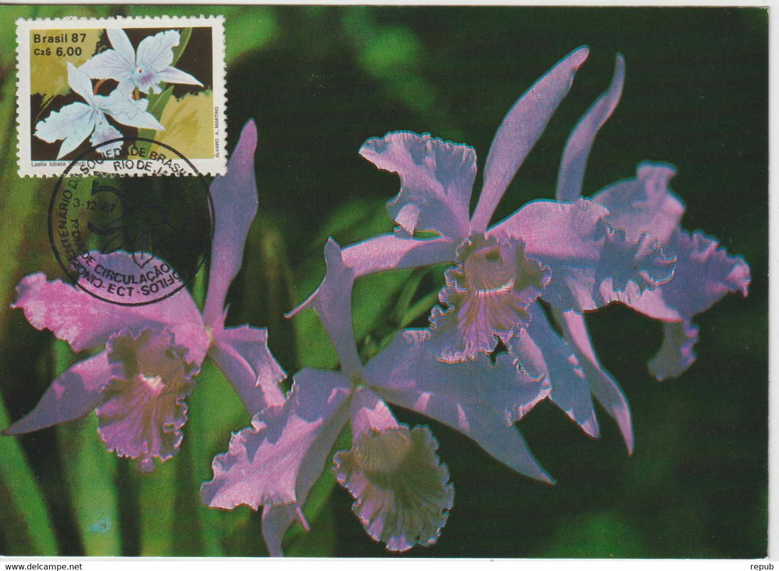 Brésil Carte Maximum 1987 Fleurs Orchidées 1861 - Maximum Cards