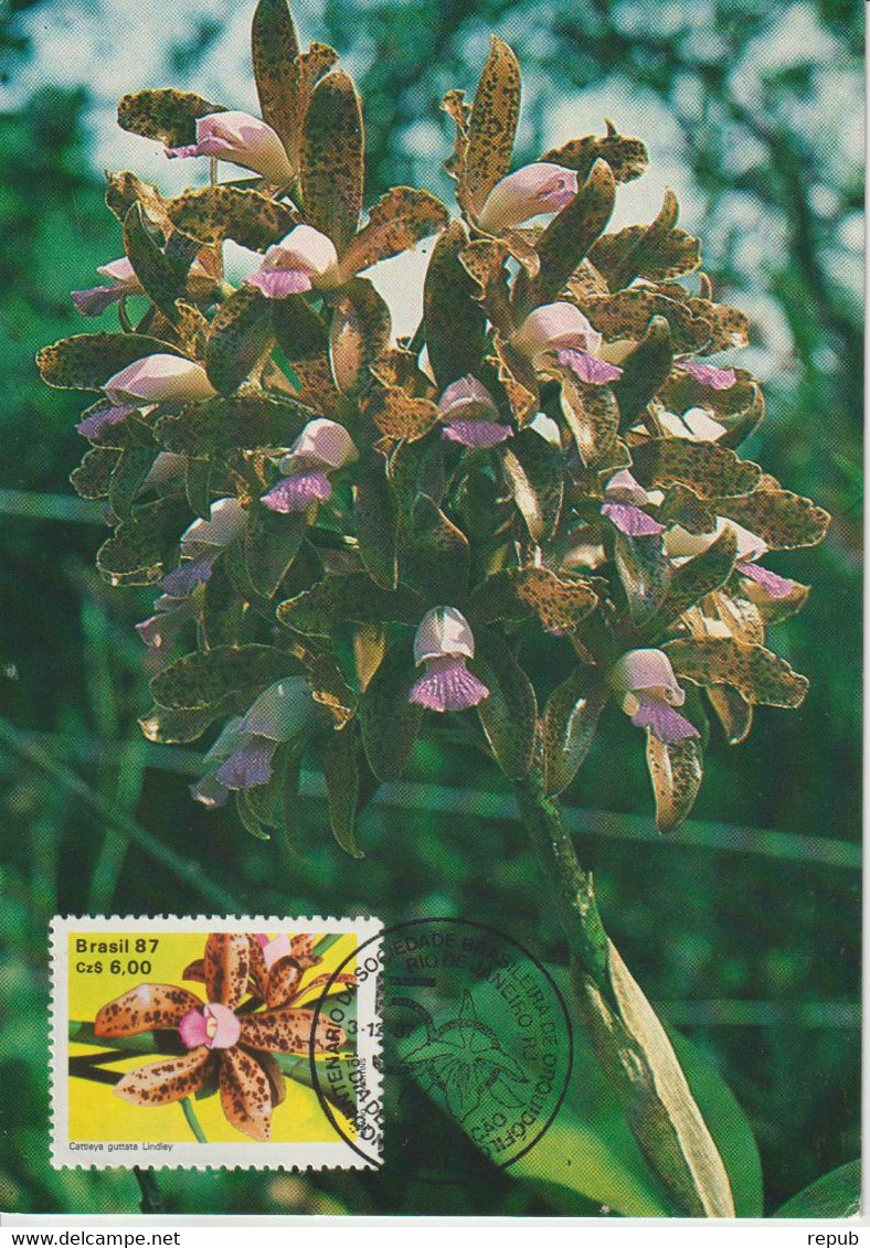 Brésil Carte Maximum 1987 Fleurs Orchidées 1862 - Cartes-maximum