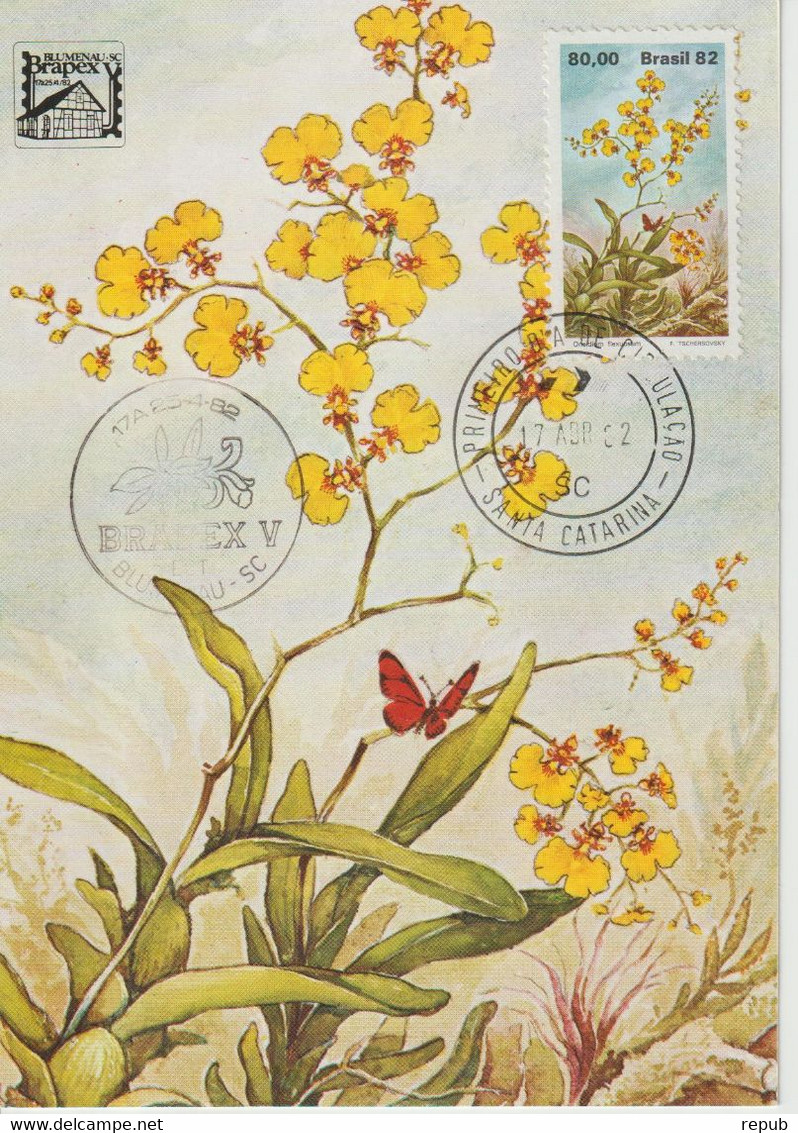 Brésil Carte Maximum 1982 Fleurs Orchidées Issu Du BF 48 - Maximum Cards