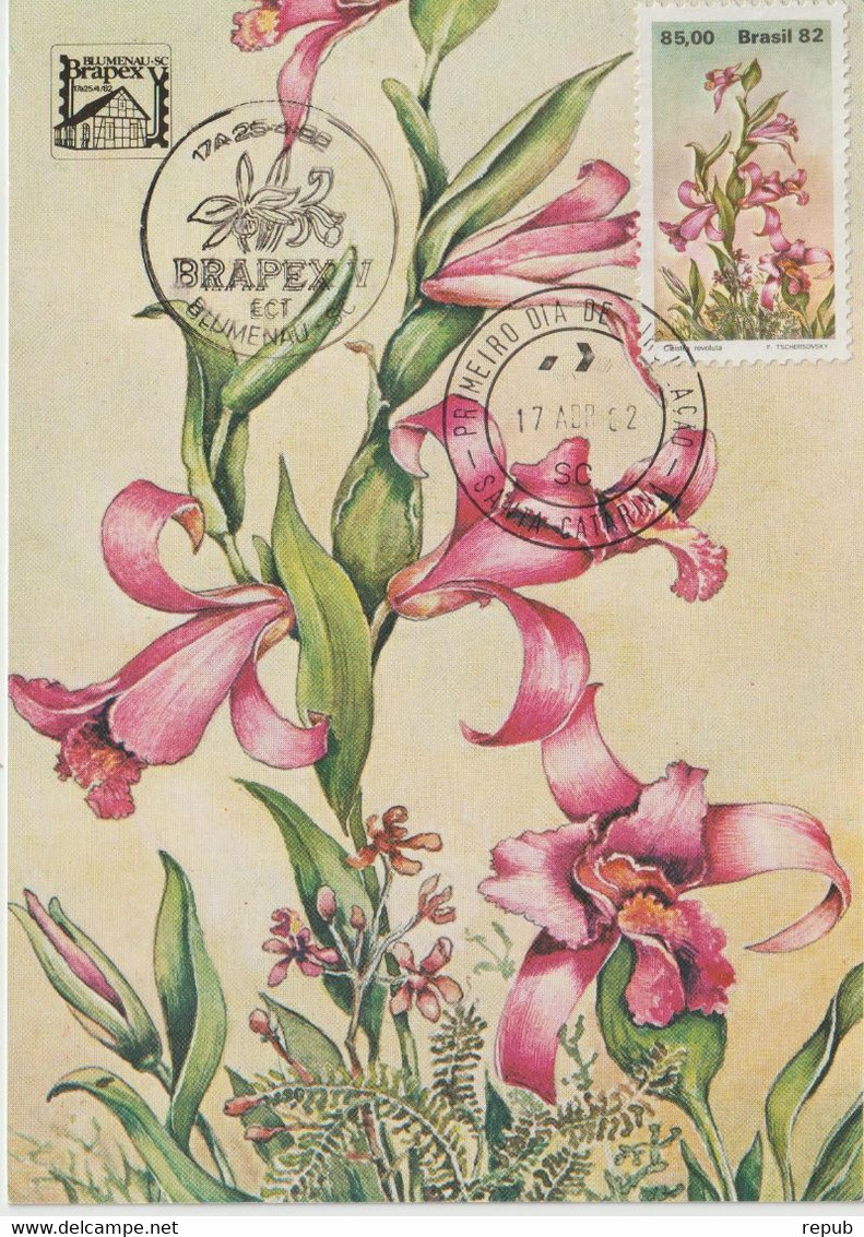 Brésil Carte Maximum 1982 Fleurs Orchidées Issu Du BF 48 - Maximumkaarten