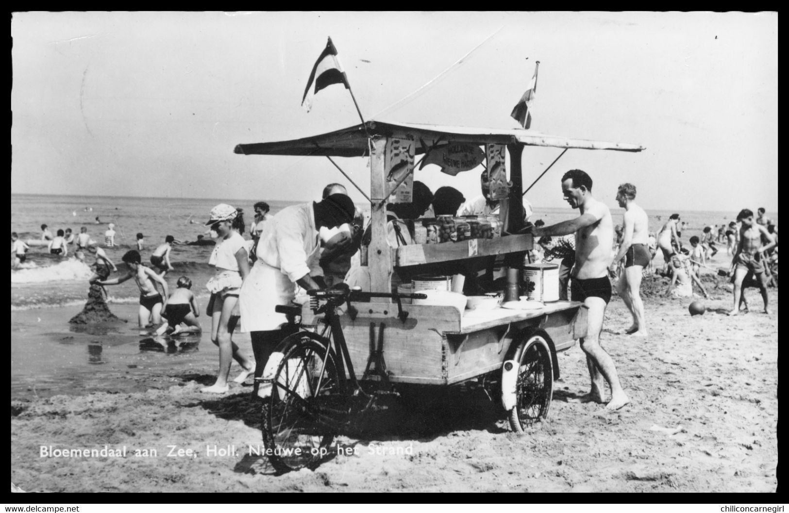 Cp Dentelée - BLOEMENDAAL AAN ZEE Nieuwe Op Het Strand - Marchand Ambulant Glace - Animée - Edit. J. P. EXEL Jr. - 1964 - Bloemendaal