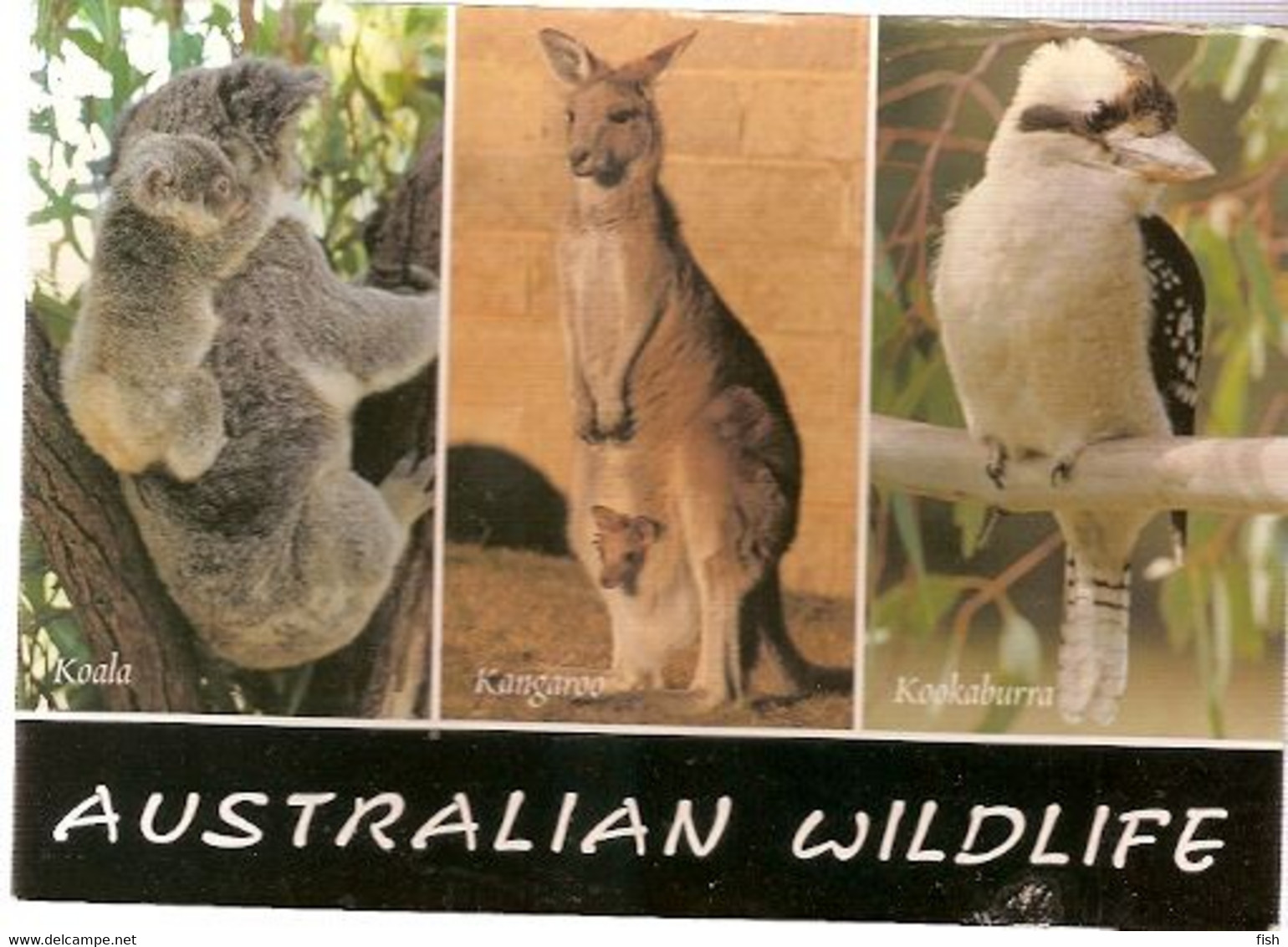 South Africa & Marcofilia,  Australian Wildlive, Koanla And Kangaroo, London 2008 (25) - Storia Postale