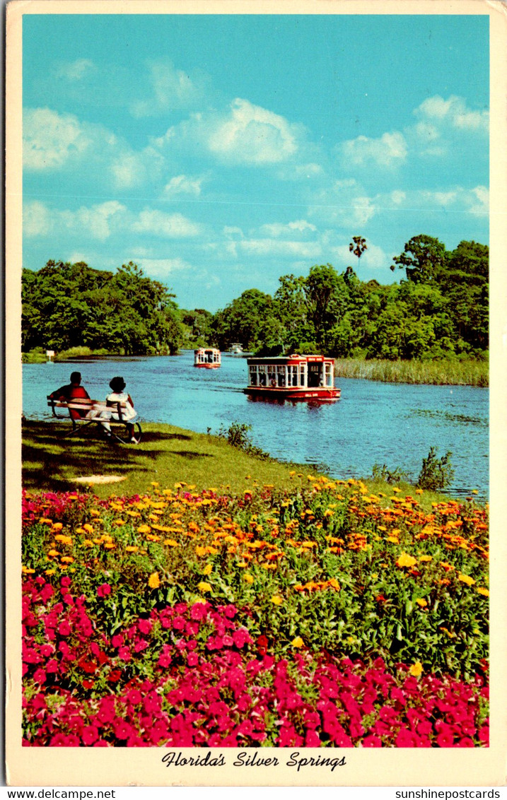 Florida Silver Springs World Famous Glass Bottom Boats 1966 - Silver Springs