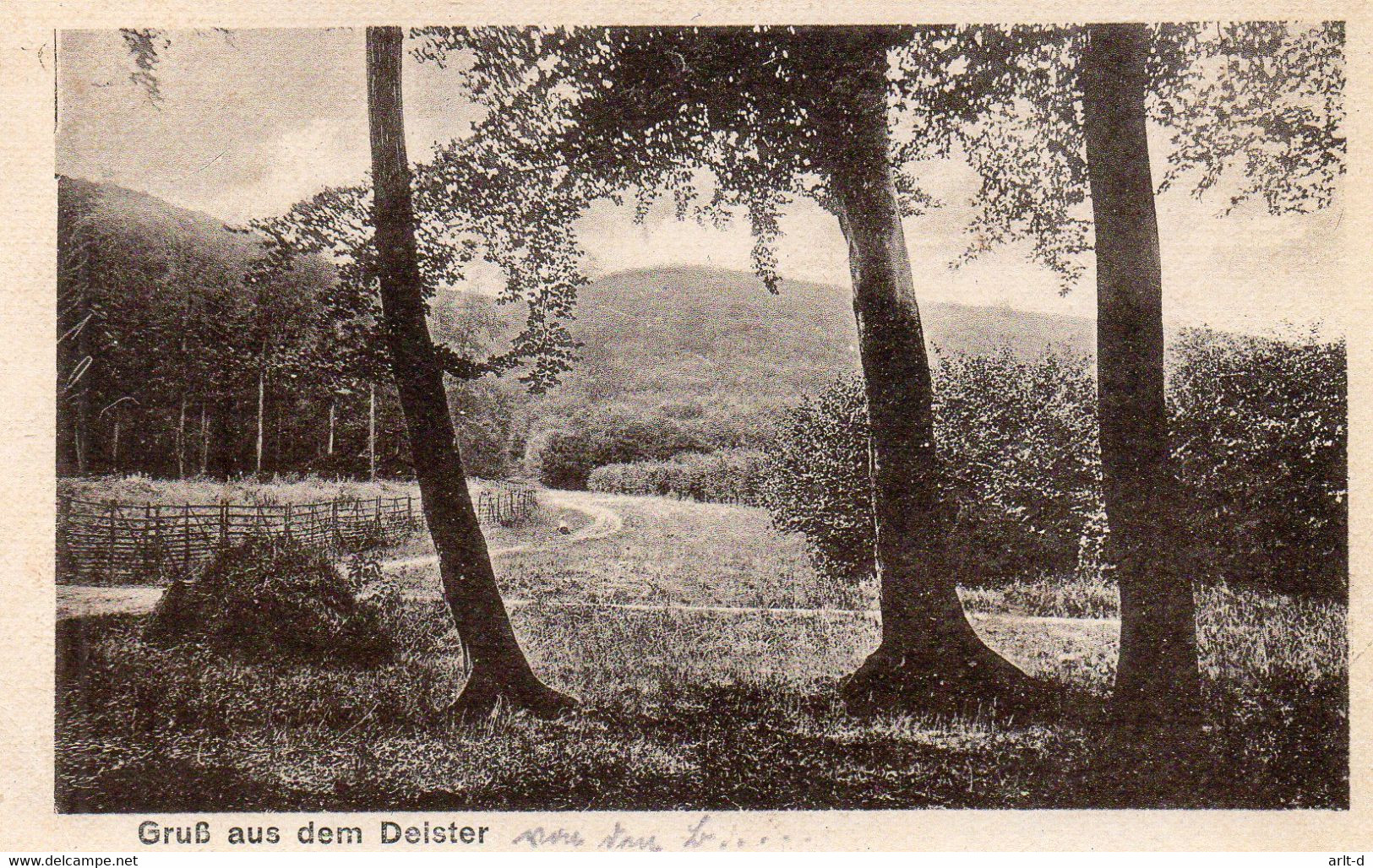 DC4757 - Springe Deister, Gruß Aus Dem Deister, Lauenau - Springe