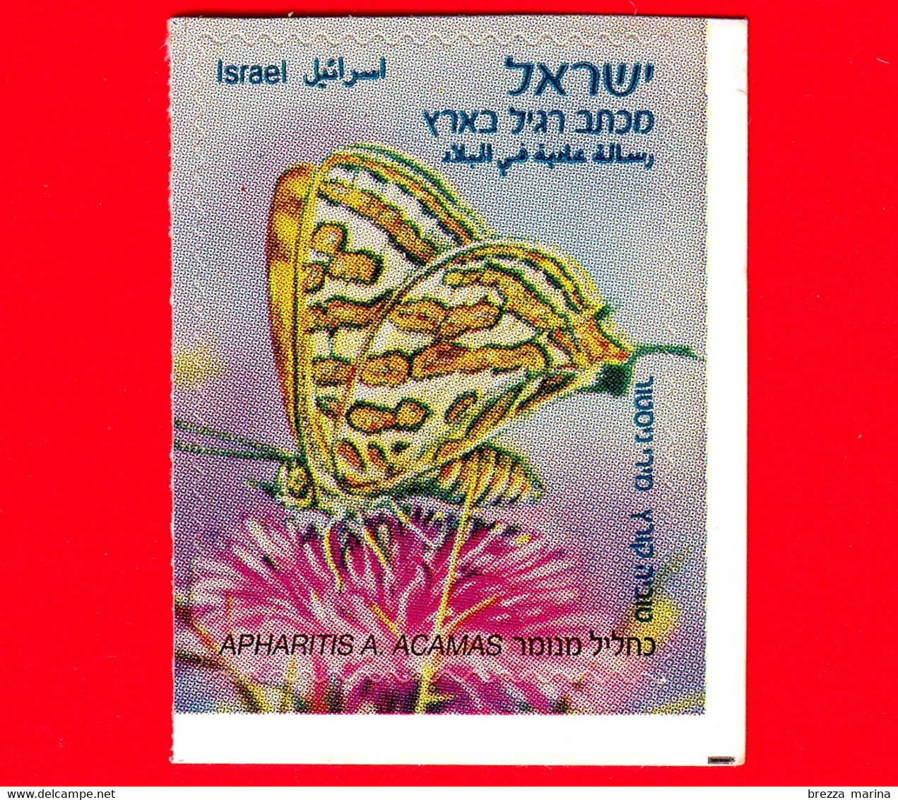 Nuovo - MNH - ISRAELE - 2011 - Farfalla - Butterfly - Arab Leopard (Apharitis Acamas Acamas) - 1.70 - Ongebruikt (zonder Tabs)